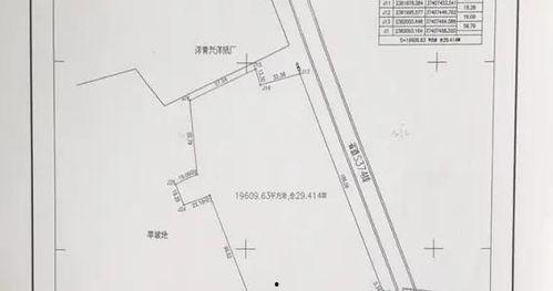 遂溪新闻爆料最新消息视频,视频揭露惊人真相! 第2张 遂溪新闻爆料最新消息视频,视频揭露惊人真相! 第2张